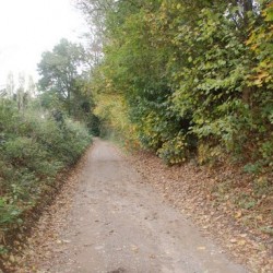 DSC 0566 - Sportraad Zaventem 